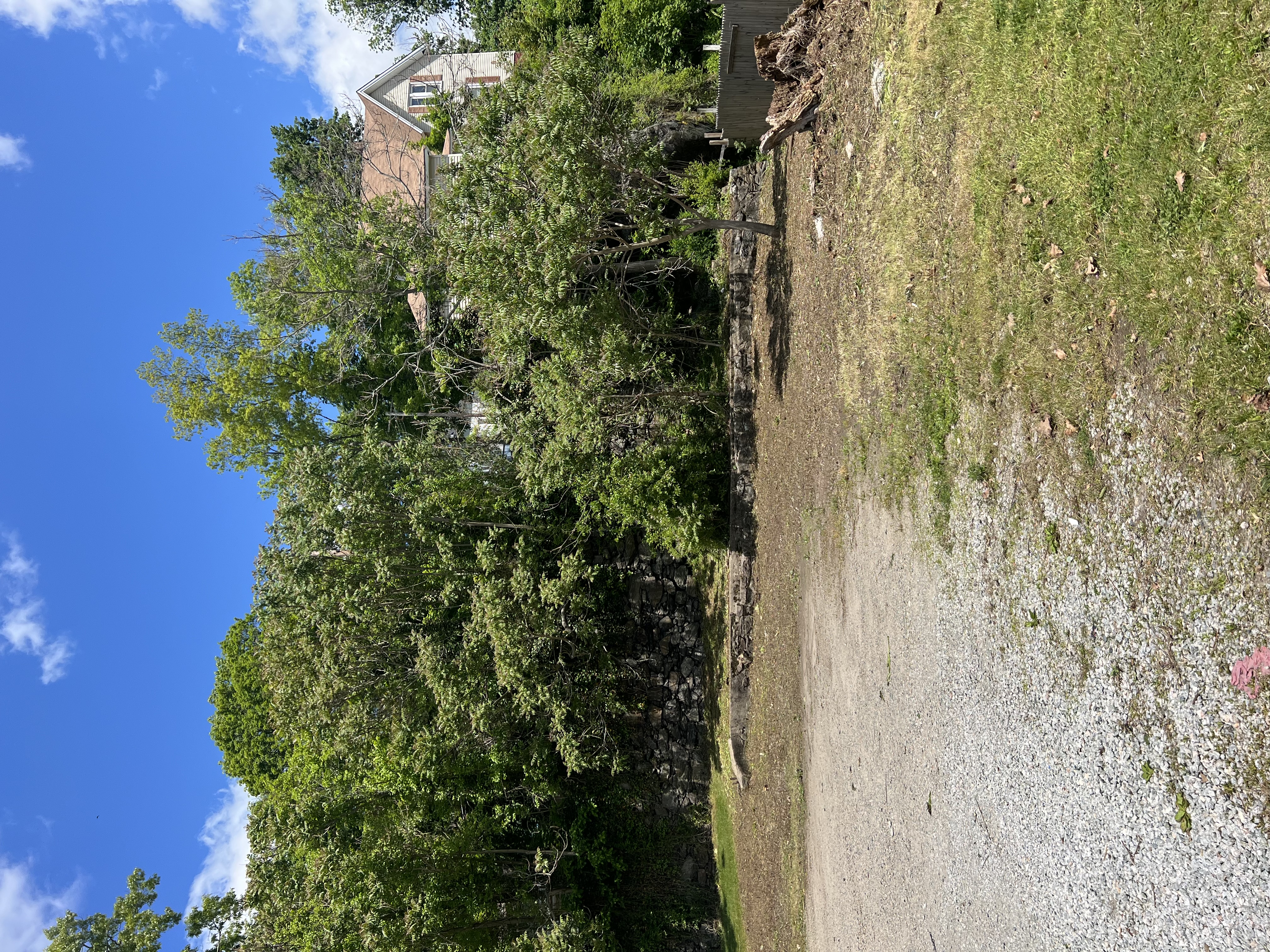 Overgrown brush cleanup in Plainfield CT