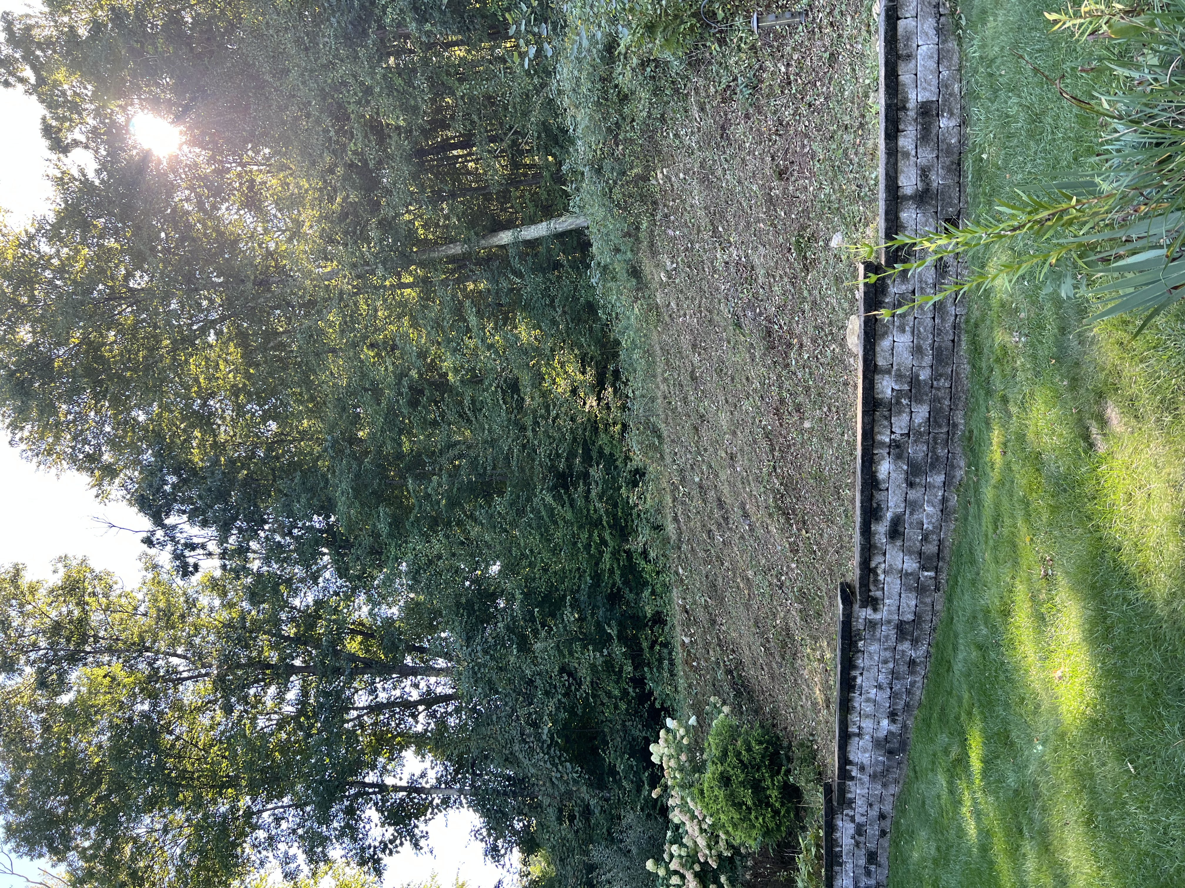 Brush removal after cleanup in Eastern CT