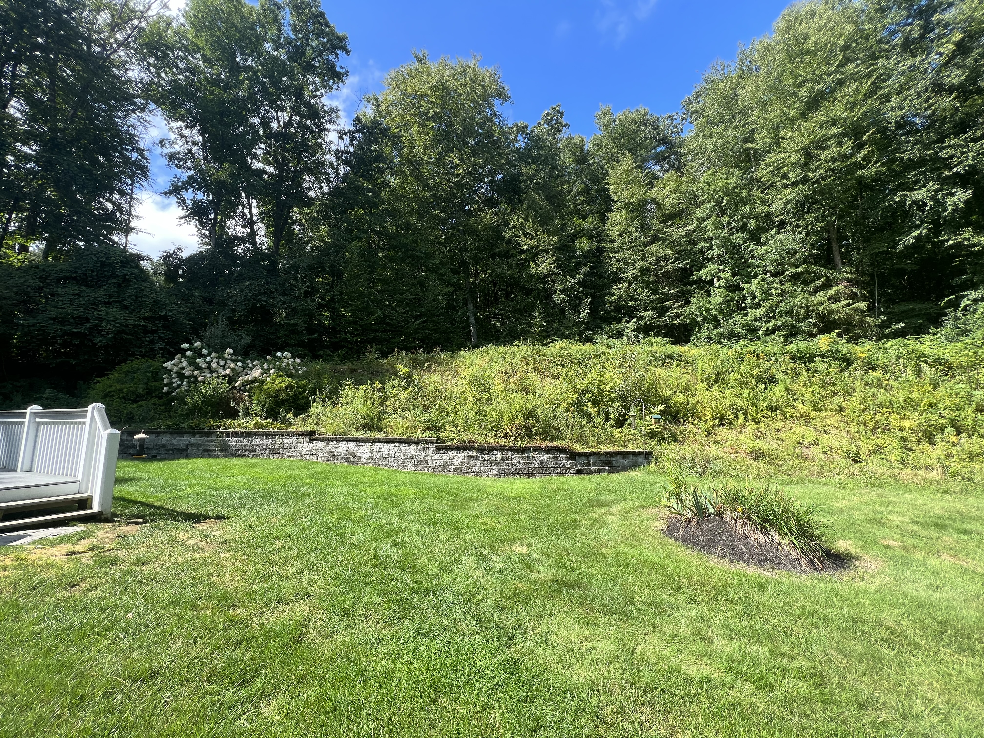 Brush clearing service in Eastern CT