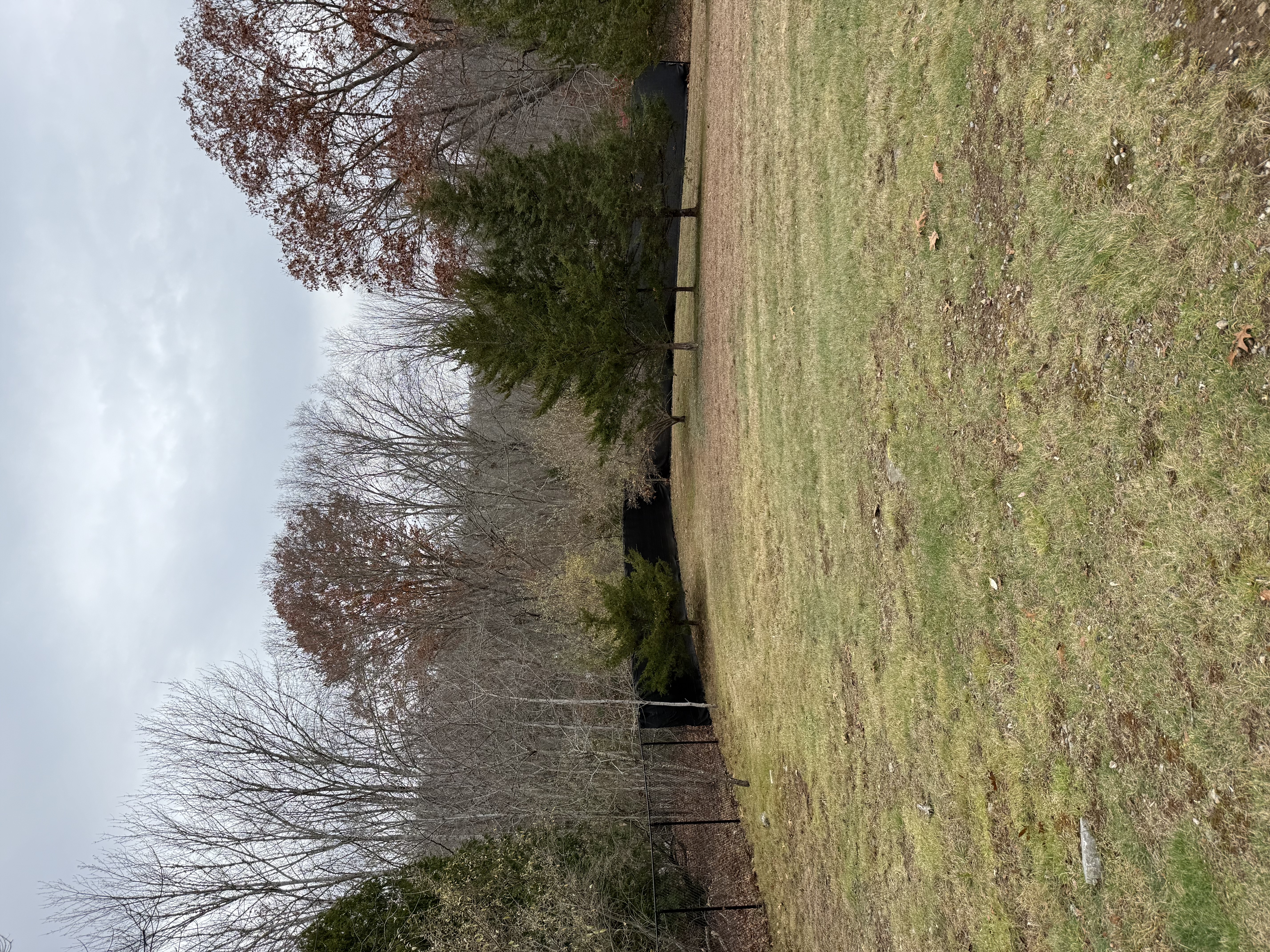 Leaf cleanup after photo in Eastern CT