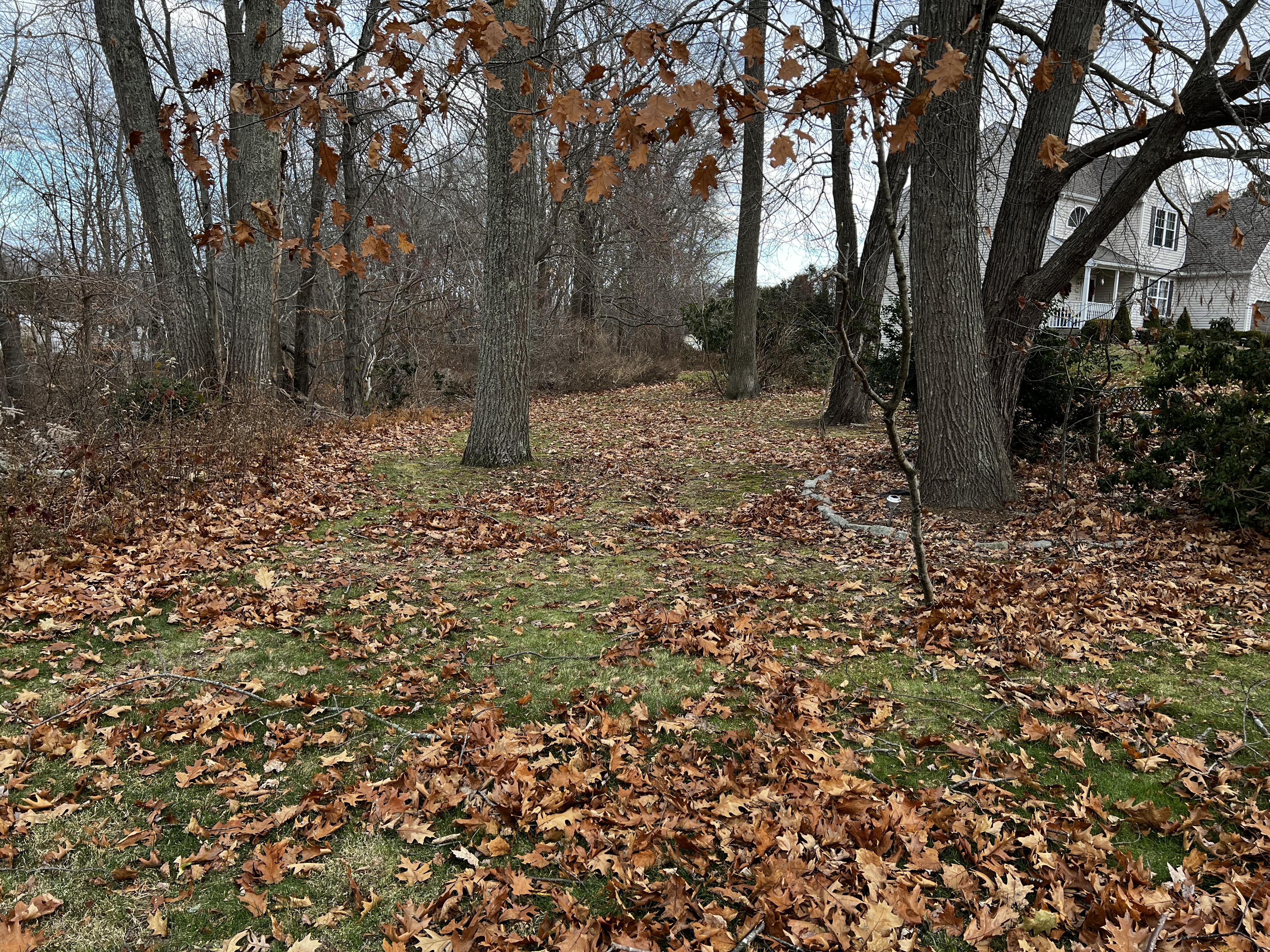 Fall cleanup before photo in Plainfield CT