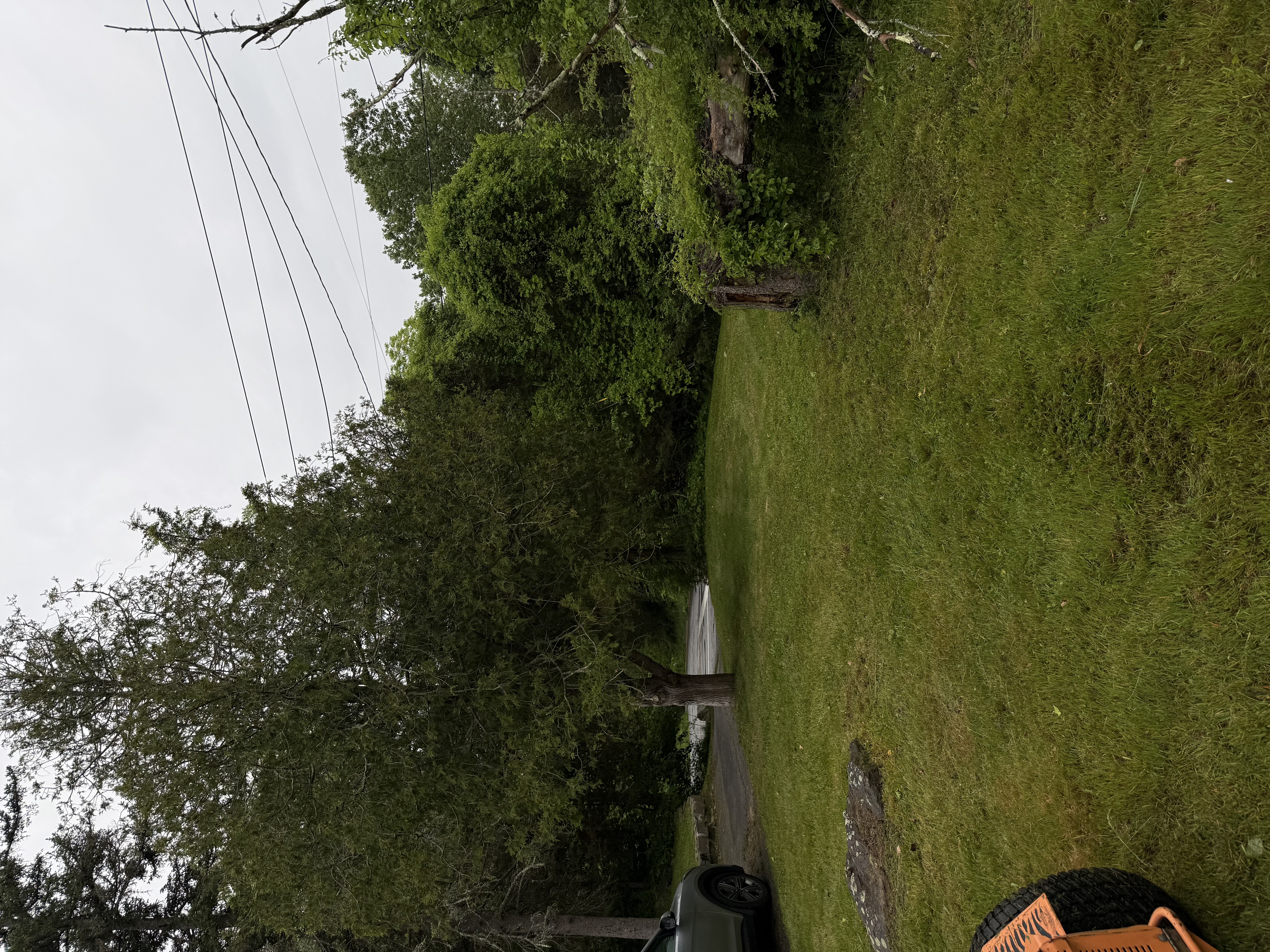 Property cleanup in Griswold CT