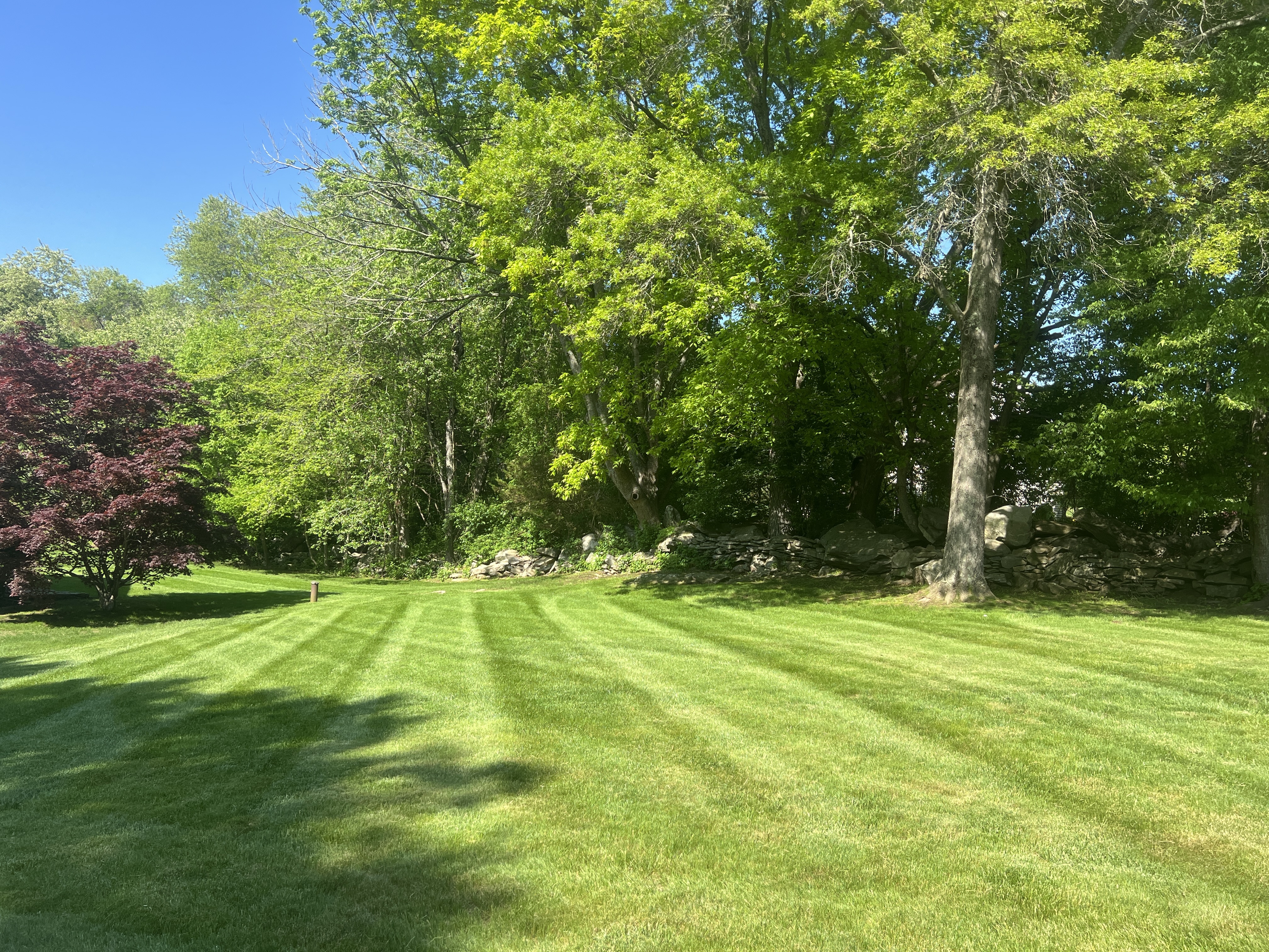 Commercial lawn mower for lawn mowing service in Plainfield CT