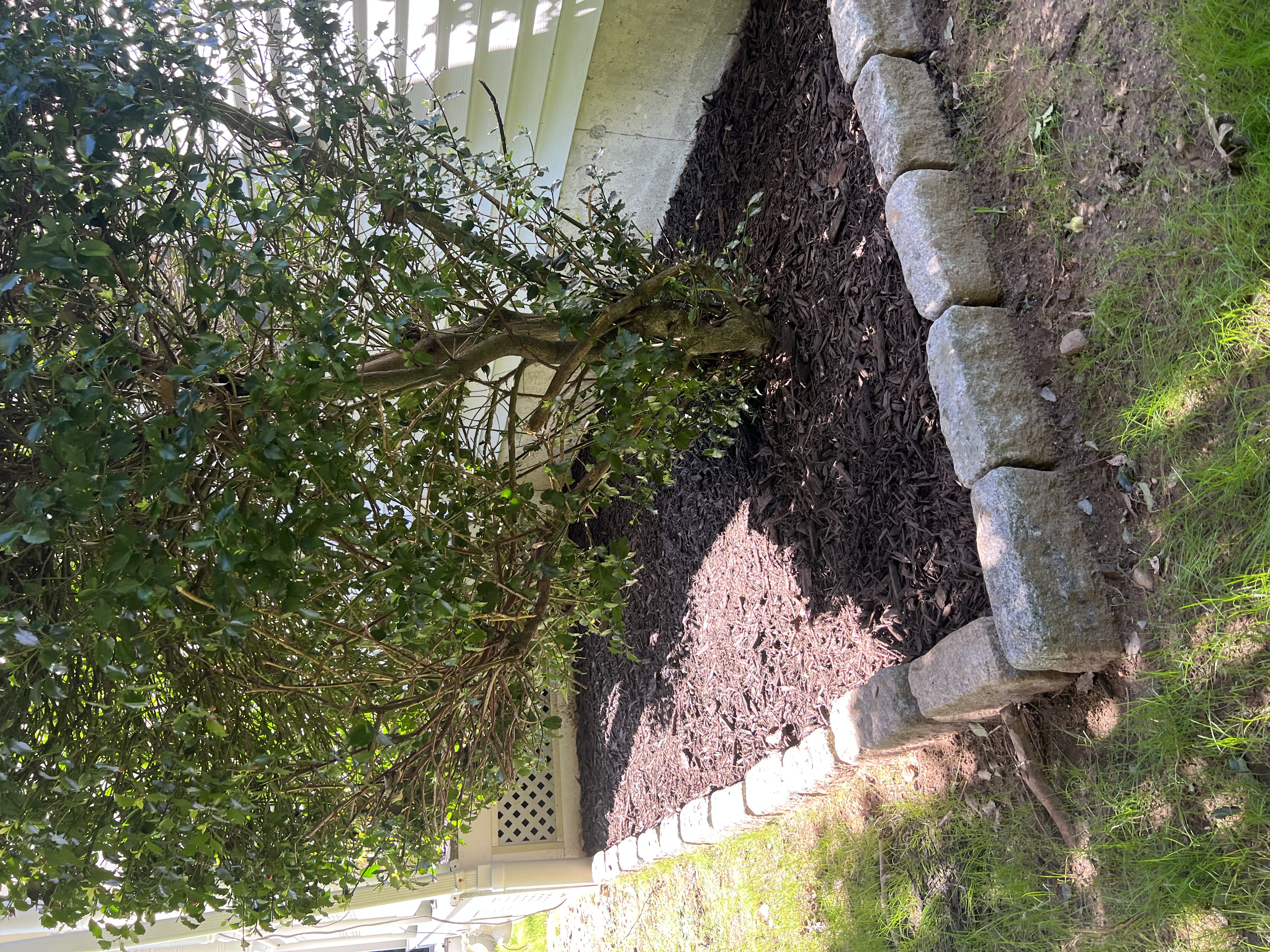 Mulch and paver bed cleanup in Griswold CT